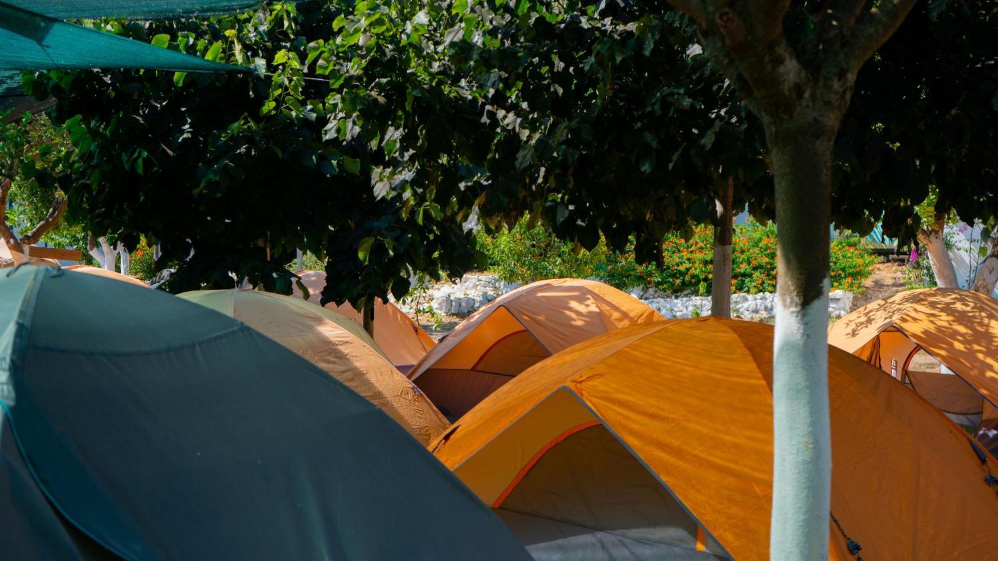 Social Camping Jal Hotel Kültér fotó